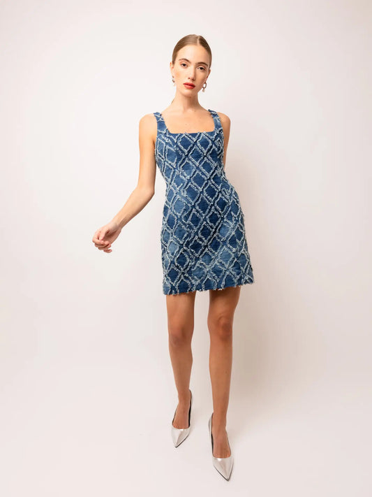 Angelica Denim Dress